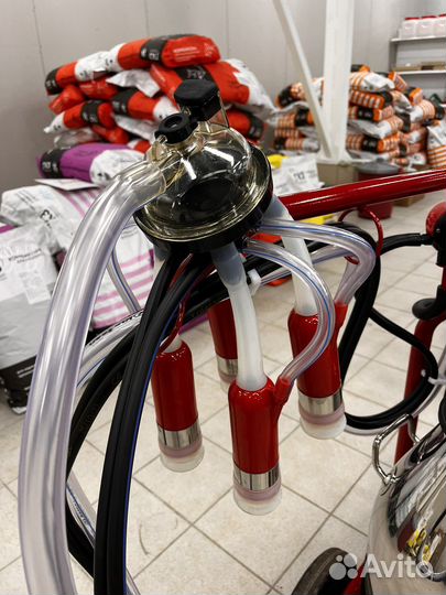 Доильный аппарат для коров