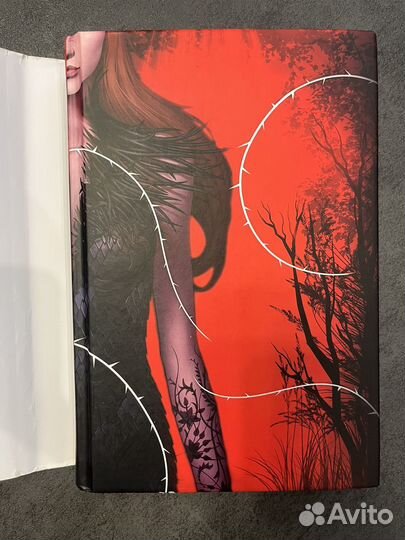 Книга Сара Дж Маас Королевство шипов и роз