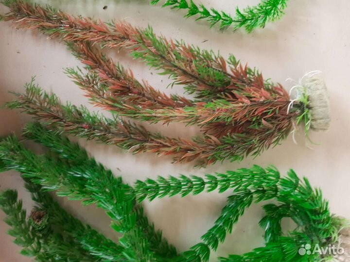 Украшения для аквариума