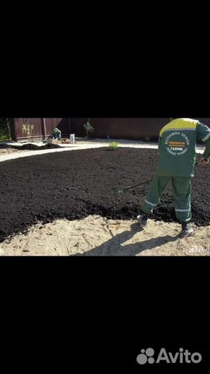 Чернозём беагумс