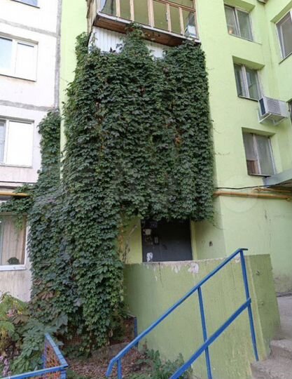 2-к. квартира, 61,3 м², 2/6 эт.