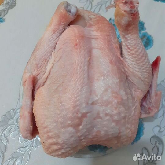 Тушка бройлера