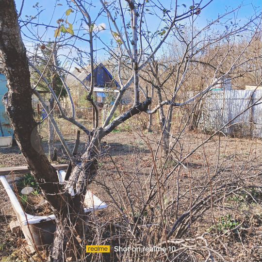 Дом 38 м² на участке 6 сот.