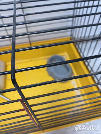 Клетка для грызунов бу