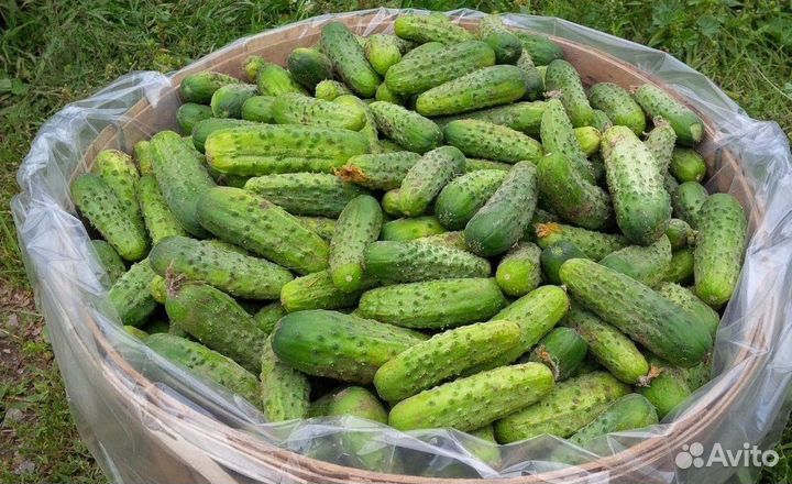 Разнорабочий/ Вахта/ Проживание/ Питание