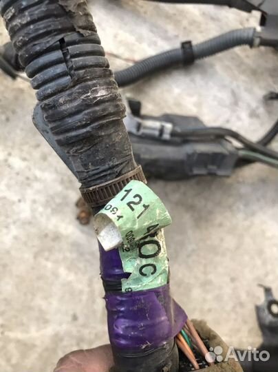 Проводка моторная Toyota RAV4 (2950)