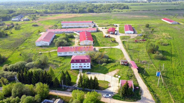 ПСН в черте города