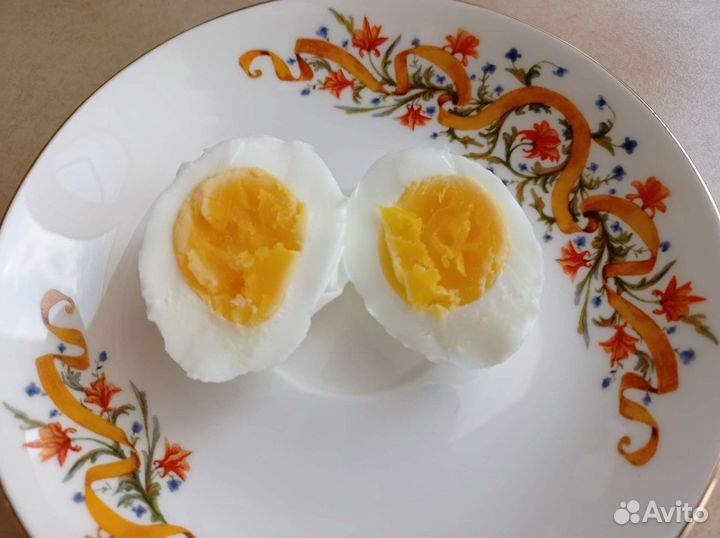 Домашние куриные яйца