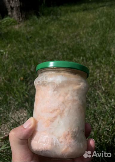 Лосось в собственном соку. Премиум