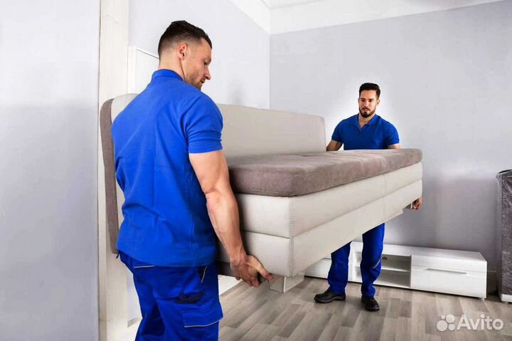 Грузчики / Переезд / Перевозка / Сборка мебели