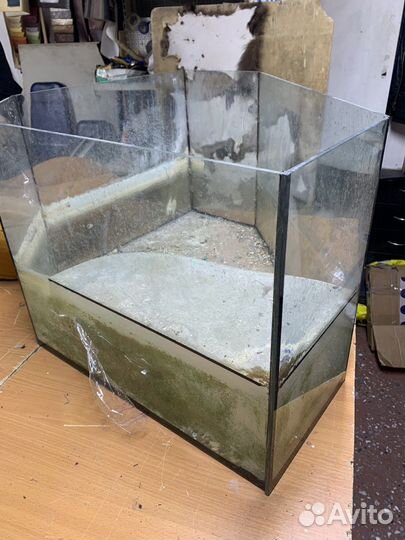 Аквариум террариум
