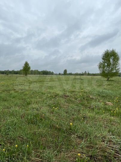 Участок 2,95 га (СНТ, ДНП)