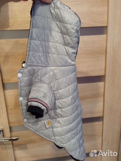 Вещи на собаку