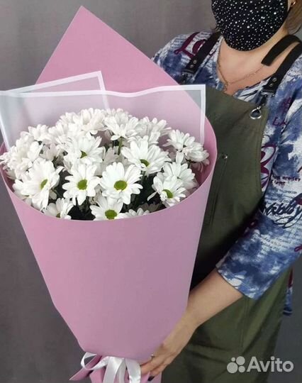 Хризантема