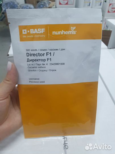 Семена Огурец Директор 500с Нунемс