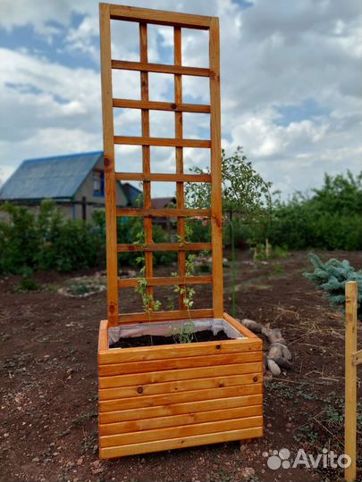 Кашпо со шпалерой