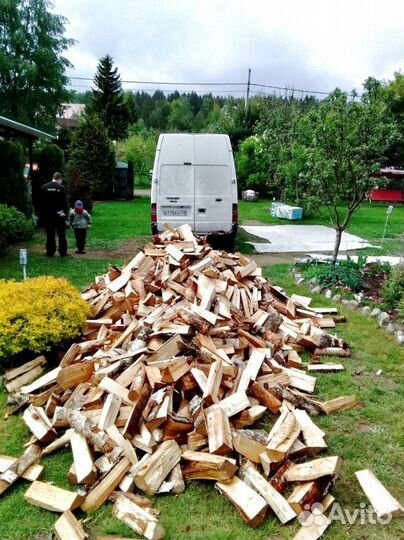 Дрова понимающих