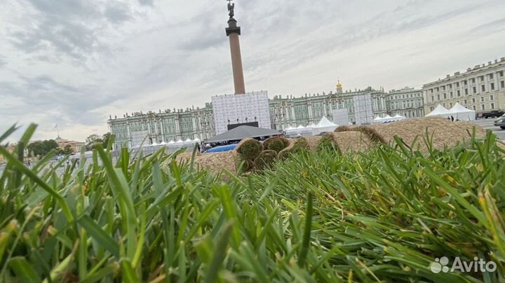 Рулонный газон