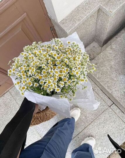 Ромашки Пионы Розы Доставка