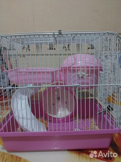 Хомяки джунгарики с клеткой