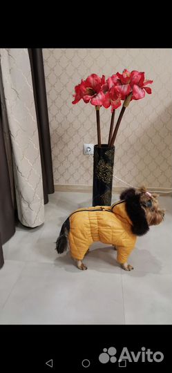 Зимний комбинезон для собак