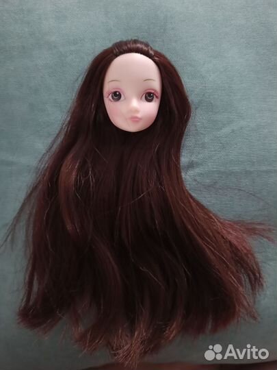 Голова куклы Курн, Барби