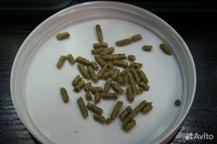 Соль-минерализатор, лучшие корма для креветок