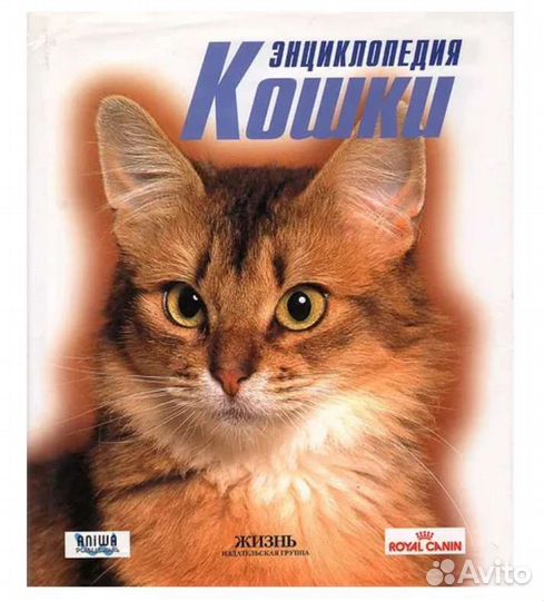 Книги энциклопедии