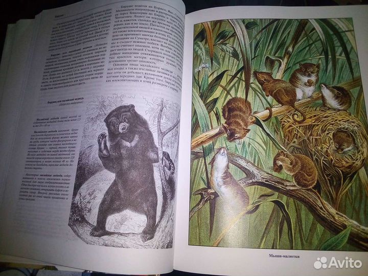 Книги о животных и растениях