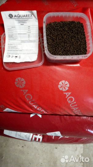 Корм для карпов