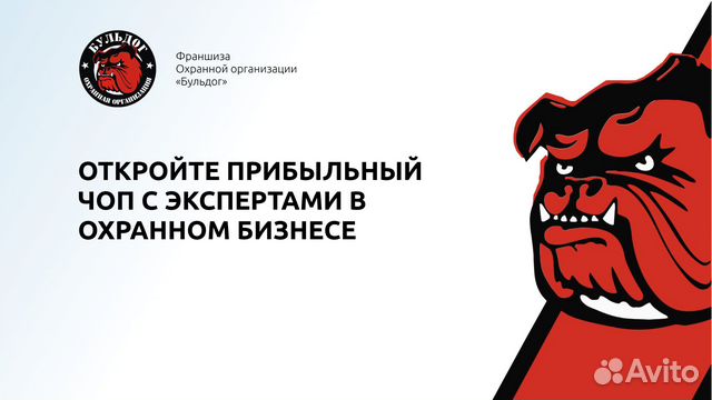 Бульдог от фирмы курск. Охранная организация бульдог