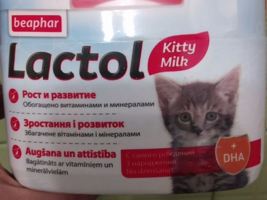 Заменитель кошачьего молока для котят