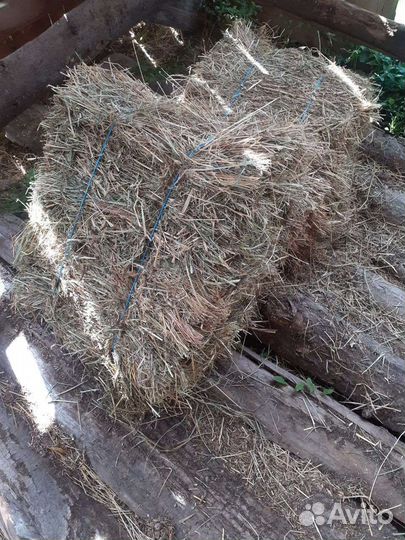 Сено в тюках