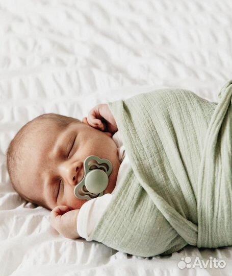 Соска пустышка Bibs