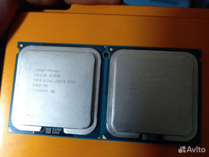 Пара процессоров Intel Xeon 5050