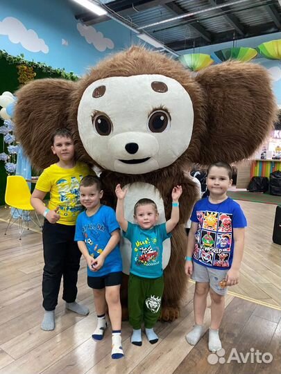 Костюм Аниматора