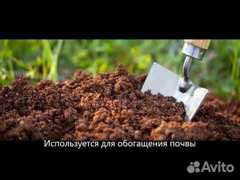 Как сделать компост из листьев за 7 дней