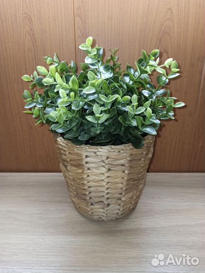 Кашпо Фридфул IKEA