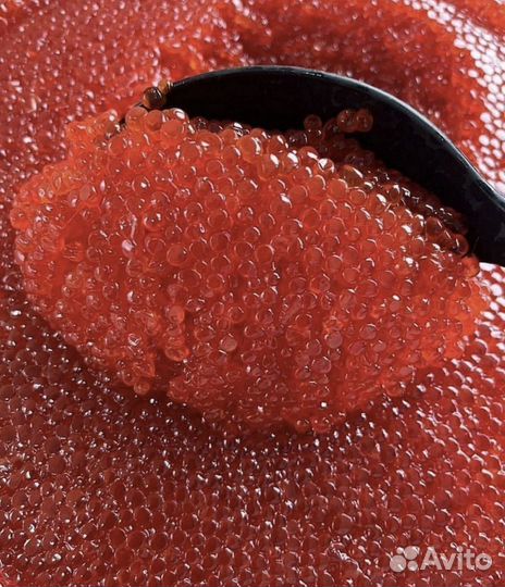 Красная икра оптом 2023г