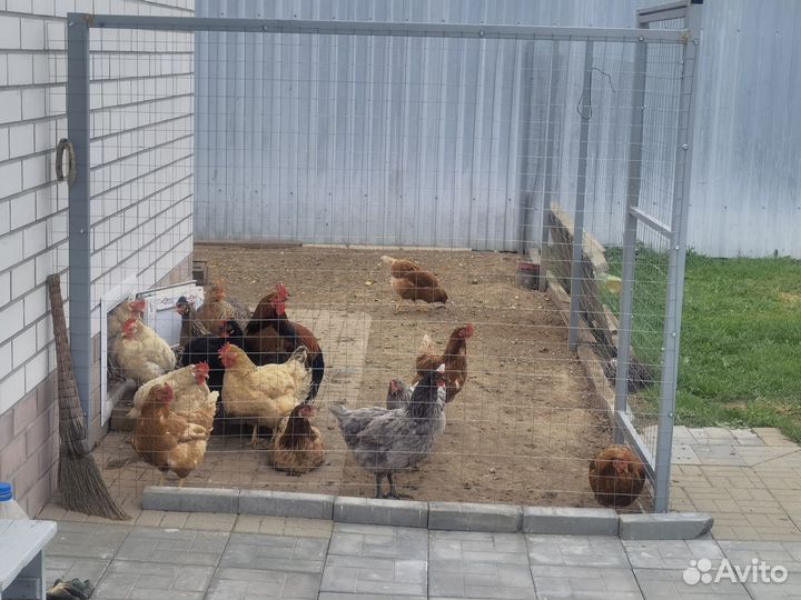 Продукты питания
