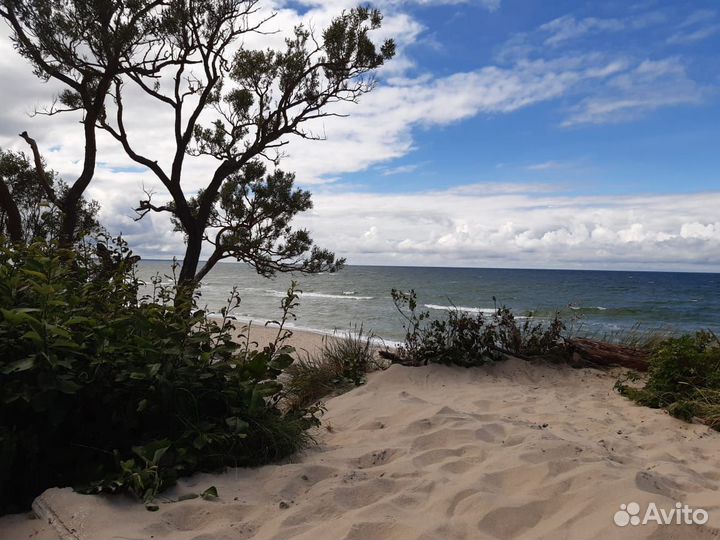 Куршская коса экскурсия