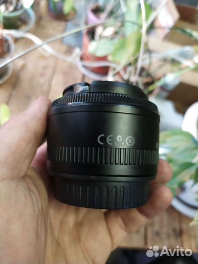 Объектив canon 50mm 1 8 ii, отличный портретник