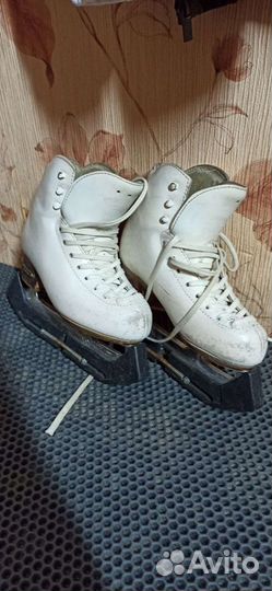 Коньки р. 210