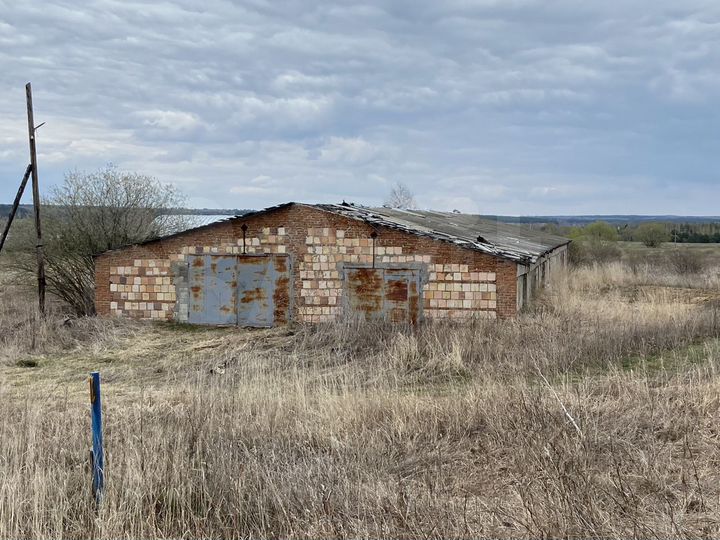 Здание, 3000 м²