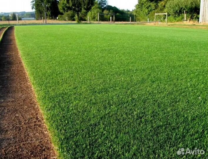 Рулонный газон (зеленый)