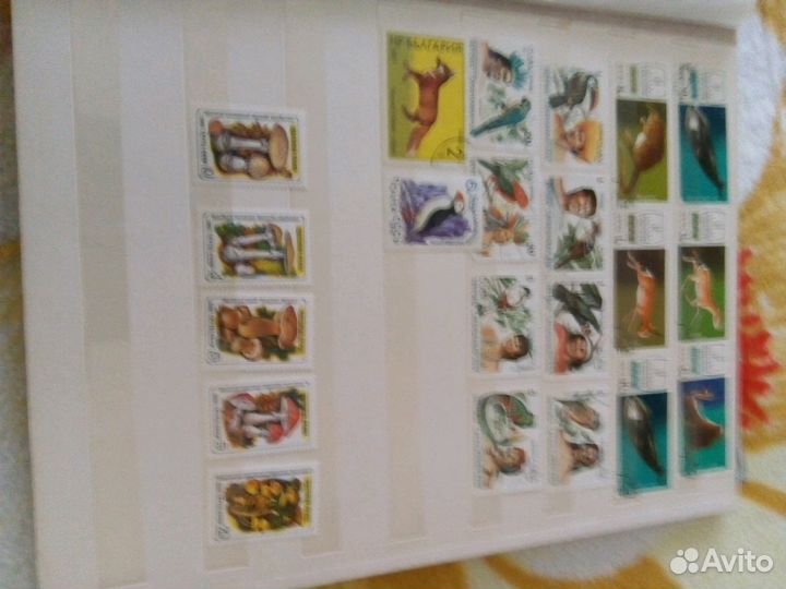 Альбом с марками