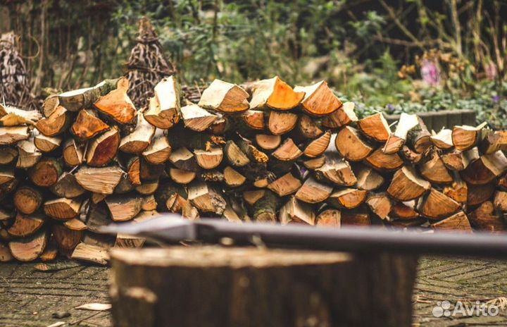 Дрова в область