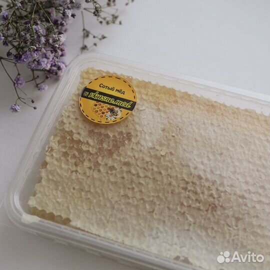 Мед в сотах 2023