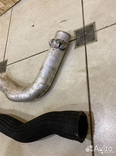 Патрубок интеркулера SsangYong Kyron
