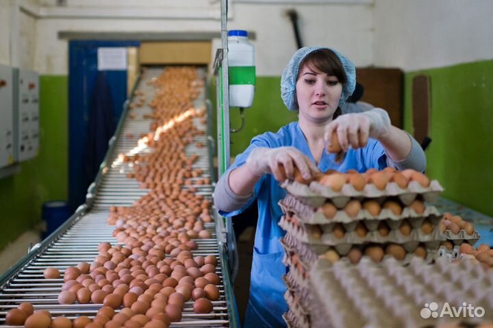 Фасовщица Ежедневные выплаты (Порт-Артур)